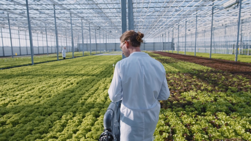 Greenhouse worker in white laboratory coat monitoring irrigation of vegetable plants in hydroponic beds. Modern greenery farm. Eco business. Organic food concept. Royalty-Free Stock Footage #1059811199