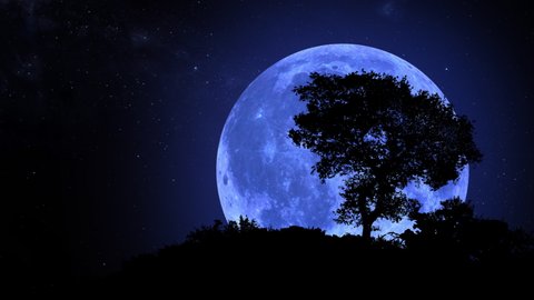 Blue Moon rising over a lonely tree in Southern hemisphere. Blue moon and stars. Photo realistic 3D render. [ProRes - UHD 4K]