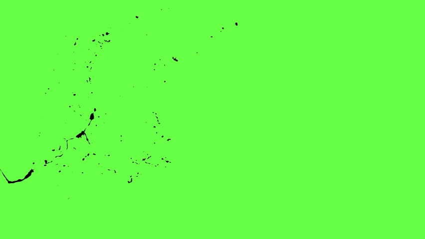 Chroma keying effect of a pool of blood splashing on the screen in slow motion shot at 120 fps from the Carnage collection - Blood VFX Video Element. | Shutterstock HD Video #1059824984