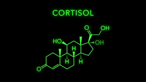 Cortisol Molecular Structure Symbol Neon Animation on black background