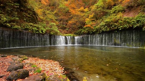 Wipark Kulnirandornの動画素材ポートフォリオ Shutterstock Wipark Kulnirandornの動画素材ポートフォリオ Shutterstock