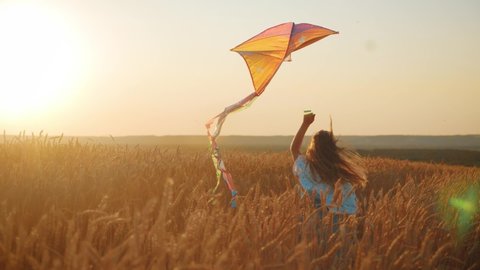 Pretty girl playing with kite in wheat field on summer day. Childhood, lifestyle concept.