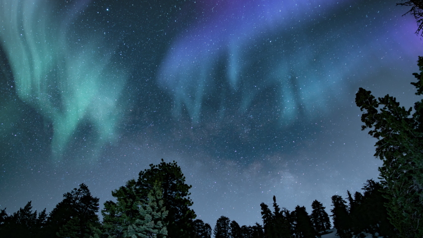 Aurora and Milky Way Above Alpine Mountain Forest Loop | Shutterstock HD Video #1059876632