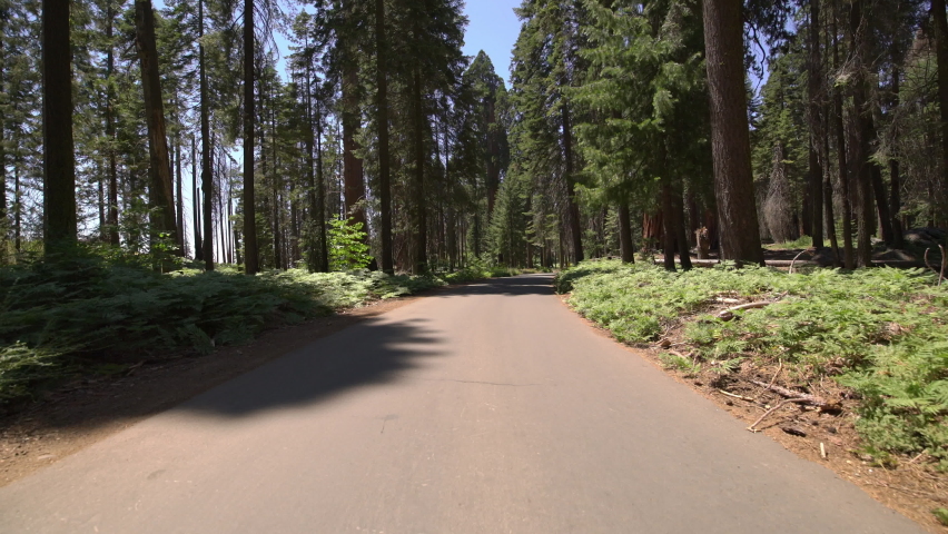 Sequoia National Park Driving Plate Moro Rock Loop 01 Hanging Rock Trailhead In Sierra Nevada Mts California