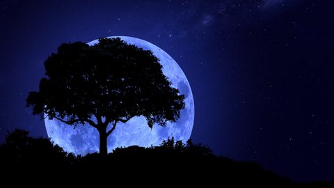 Blue Moon rising over a lonely tree in the Northern hemisphere. Blue moon and stars. Photorealistic 3D render. [ProRes - UHD 4K]