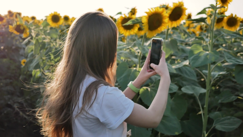Young woman farmer photographs harvest of sunflowers on cell phone camera in field.