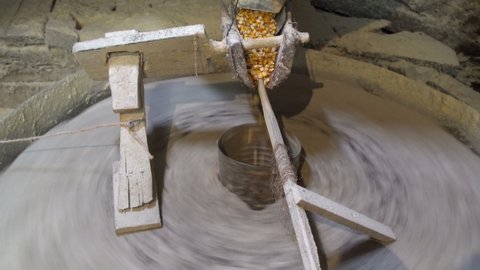 Grind corn in an old mill. The millstones are spun and ground corn or wheat flour