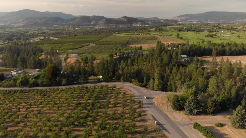 Cinematic aerial footage of vineyards and Kelowna near Lake Okanagan. 4K 24FPS.