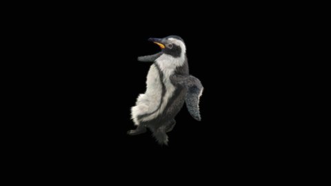 penguin Dancing CG fur 3d rendering animal realistic CGI VFX Animation luma matte.