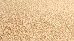 White raw quinoa rotating, South American grain. Healthy and gluten free food concept background.