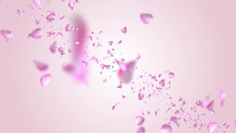 Flowers petals falling Loop background Green Screen Animation. Valentine, wedding or Women Day love red Pink roses florals flying wind. Birthday, Celebration, Carnival, Party, Holiday, Spa, Wellness.