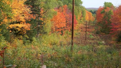 Stunning Fall Colors Along Utility Pole Line Route