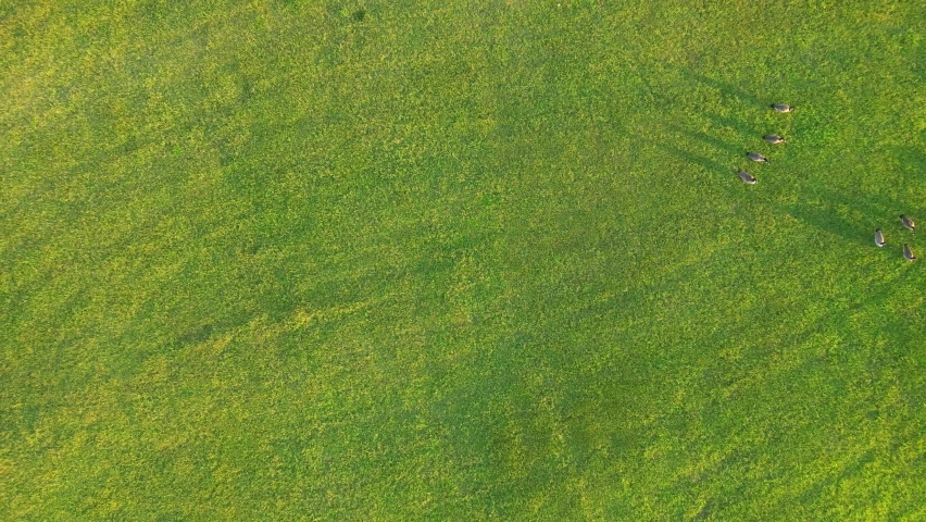 Green field with circular pathway as theater arena of Wilma Rudolph Event Center