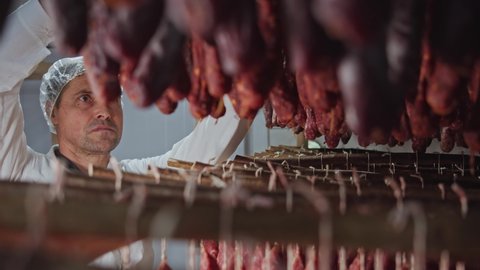 At meat factory specialist worker in uniform examines sausage sticks for quality control. Meat processing industry. Sausage production concept.