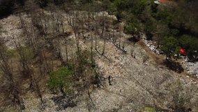 Video from drone forests with a lot of plastic debris and protective masks lying on the ground
