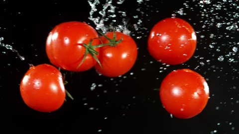 Super slow motion of cherry tomatoes flying up in the air with water splashes. Filmed on high speed cinema camera, 1000 fps.