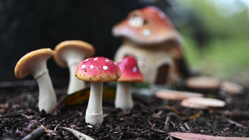 Fantasy world of a small mushroom fairy house in the forest.