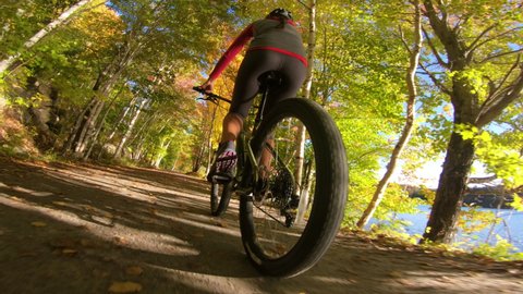 Mountain biking in fall. Mountain biker riding MTB bicycle on forest gravel trail in fall foliage. Close up action shot of with colorful leaves. Woman living healthy Autumn sports lifestyle