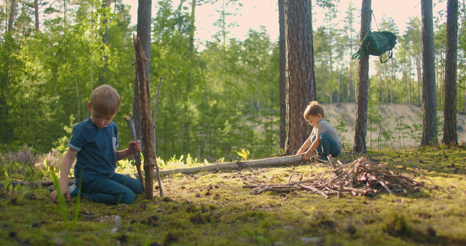 Two little brothers in the forest gather wood together and build a fire