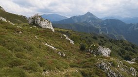 low flying angle, rock formations and colorful alpine flora, Redes Natural park