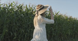 Young woman farmer . Close-up of pretty girl walk along corn field in summer. 4k raw video footage