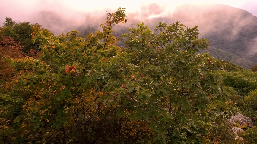 A sunset vista of Shenandoah Valley from an overlook at over 3000 feet elevation by the Skyline drive inside the national park. A cloud has descended on the mountain and fog obstruct the fall view.