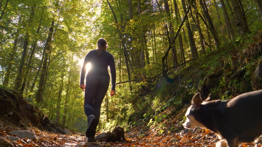 SLOW MOTION LENS FLARE LOW ANGLE: Young woman and her little dog trek down a forest trail offering a scenic view of the trees changing colors. Fit girl takes her miniature pinscher for a walk in woods | Shutterstock HD Video #1059977063