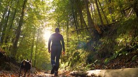 SLOW MOTION LENS FLARE LOW ANGLE: Young woman and her little dog trek down a forest trail offering a scenic view of the trees changing colors. Fit girl takes her miniature pinscher for a walk in woods - Powered by Shutterstock - Get 15% off with code: PIKWIZARD15