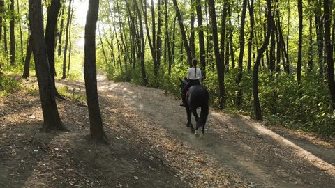 Young woman is riding a black horse in the forest at sunset