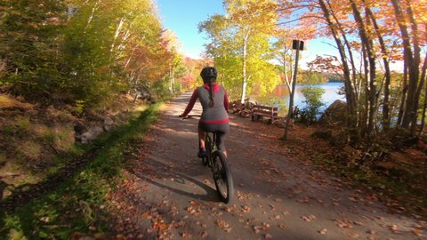 Mountain biking in autumn. Mountain biker riding MTB bicycle on forest gravel path in fall foliage. Video with colorful leaves. Woman living healthy sports lifestyle in fall