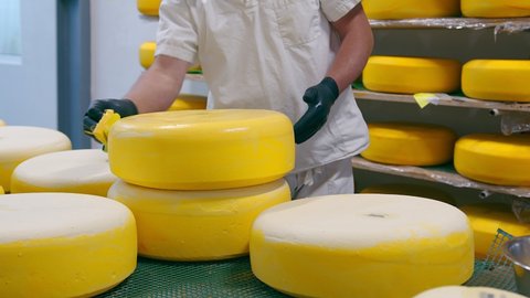 Cheese production. The worker covers the cheese with wax. Cheese factory
