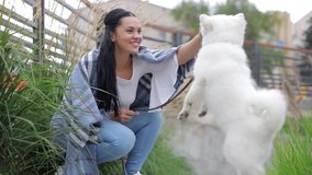 White dog in the arms of a beautiful girl. Dog breed Japanese Spitz - Powered by Shutterstock - Get 15% off with code: PIKWIZARD15