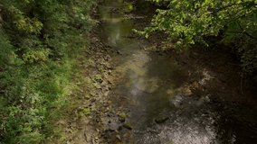This serene nature video shows a calm flowing stream of water running through a forest.