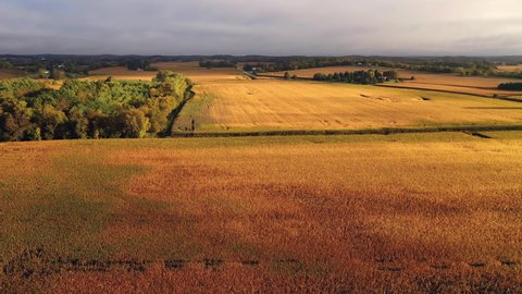 Autumn Fall colors. Countryside, Rural landscape, Harvesting season. Aerial view, from above. Golden hour (sunset, sunrise)
