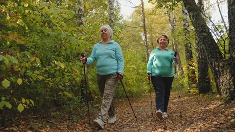 Senior women with trekking poles walking in forest. Practicing Nordic walking outdoors