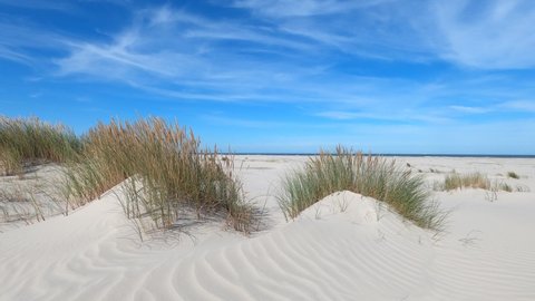 Sand dunes waving in the wind at Schiermonnikoog isle in the Netherlands