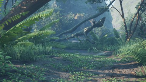 Green jungle and tropical ferns in the lost morning forest. View of the green forest in the jungle on a Sunny beautiful morning. Looping animation.