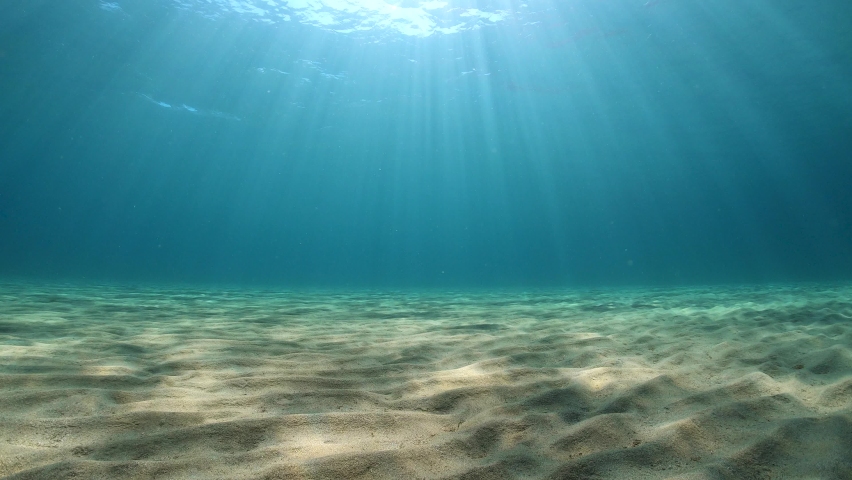 Underwater seascape, sandy seafloor and rays of sunlight below water surface in the Mediterranean sea, natural scene, France | Shutterstock HD Video #1060028594
