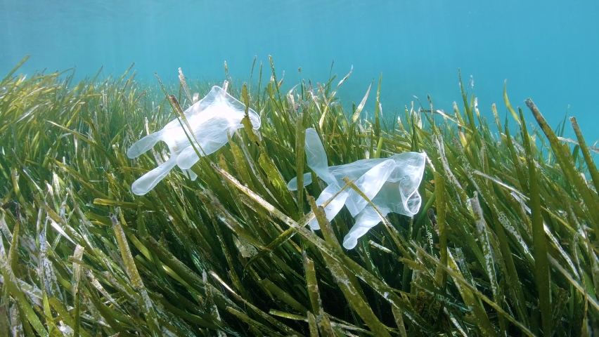 Plastic waste in the sea, disposable gloves on seagrass Posidonia oceanica underwater, coronavirus COVID-19 pandemic, Mediterranean sea, France Royalty-Free Stock Footage #1060028930