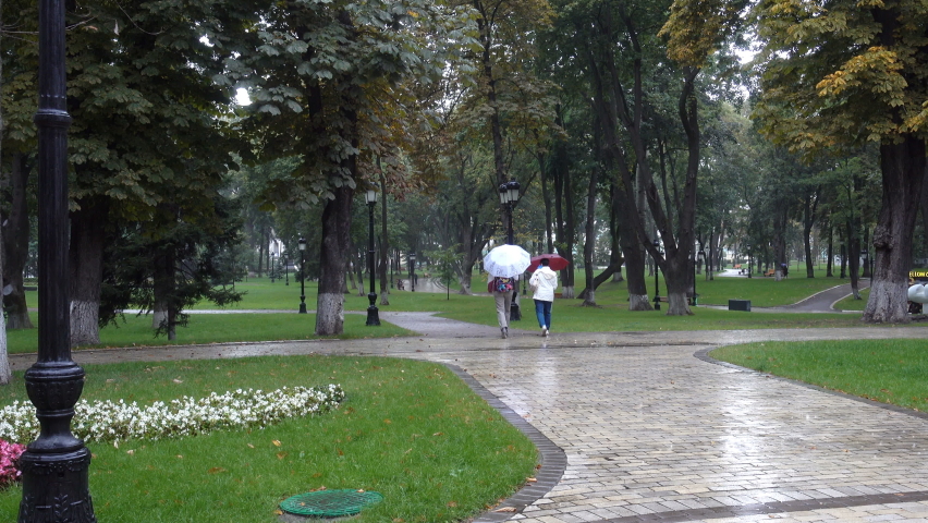 People with umbrellas walk in the autumn park in rainy weather in 4K