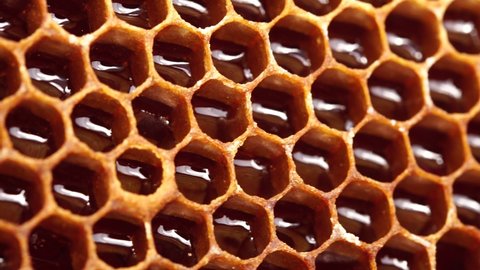 Uncapped honey comb. Fresh honey in a honeycomb close up. Organic beekeeping. Organic Honey Bee Farm. Wax cells, a honey bee colony, a honeycomb close up, beehive, beekeeping