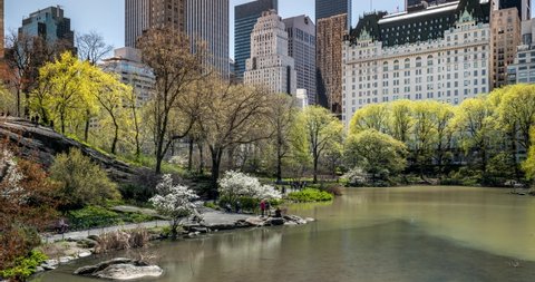 Daylight Timelapse Spring Color Over The Pond of Central Park South in New York City