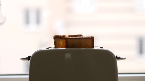Roasted bread jump out from a white toaster. delicious and toasted toast. the process of frying toasts