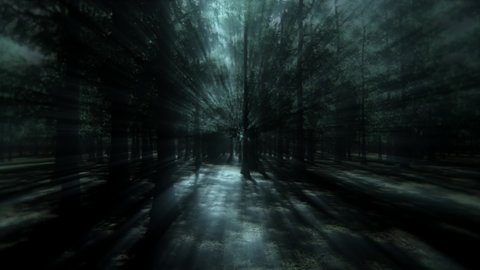 3D Light Rays of the Forest Landscape Loop Motion Background