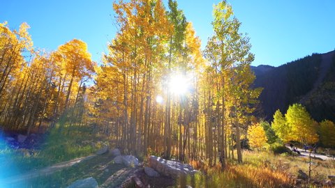Maroon Bells morning sunrise with handheld panning pov of forest road path of golden trees in Aspen, Colorado in rocky mountains and autumn yellow foliage with people and sun flare