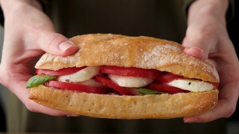Sandwich with mozzarella tomato and basil in female hands. Big delicious gourmet vegetarian sandwich