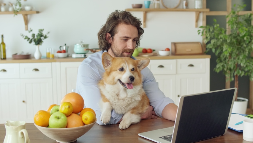 Attractive Man Working With A Laptop From Home. Young Man With Bristle Sitting at the Table and Holding In the Arms a Cute Dog During Remotely Work From Home. Royalty-Free Stock Footage #1060071416