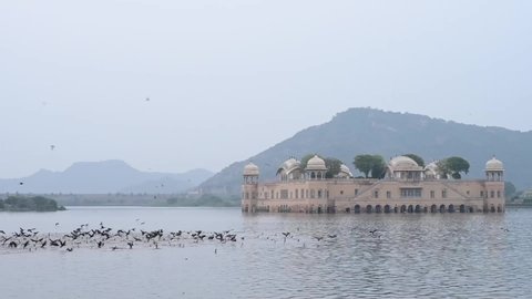 Jaipur,Rajasthan / India - 22 september 2020 : Slow motion birds flying at jal mahal