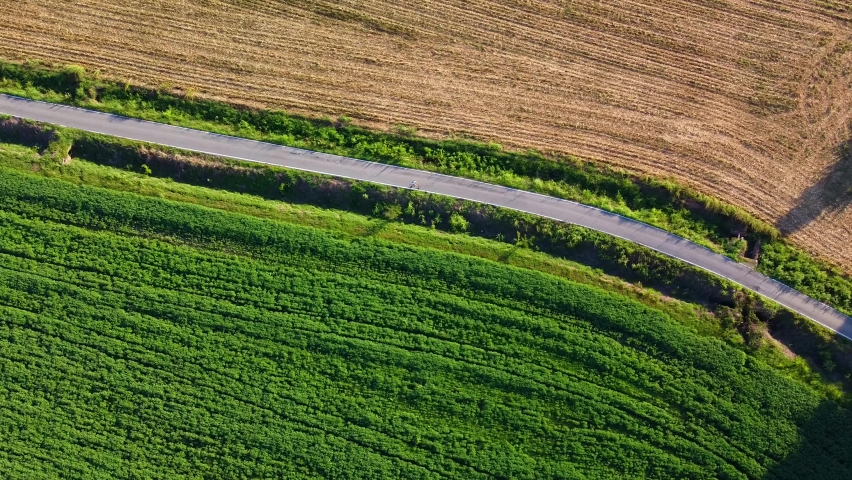 Tuscany Italy 01.10.2020: winding country road in the field. Aerial view of a field with a crossed asphalt road. The movement of cars and cyclists. Nature. Agriturismo. Harvesting in autumn Royalty-Free Stock Footage #1060092551