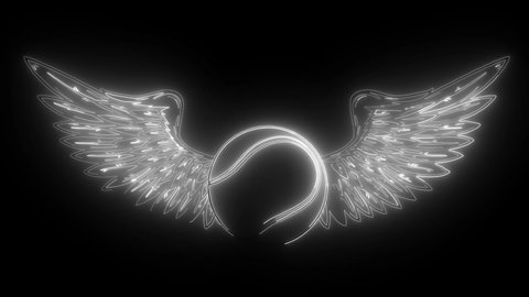 Neon Wings Stock Video Footage 4k And Hd Video Clips Shutterstock